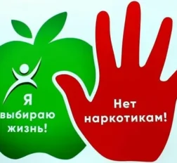 превью записи