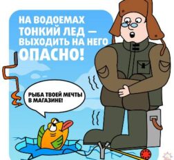 превью записи