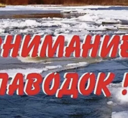 превью записи